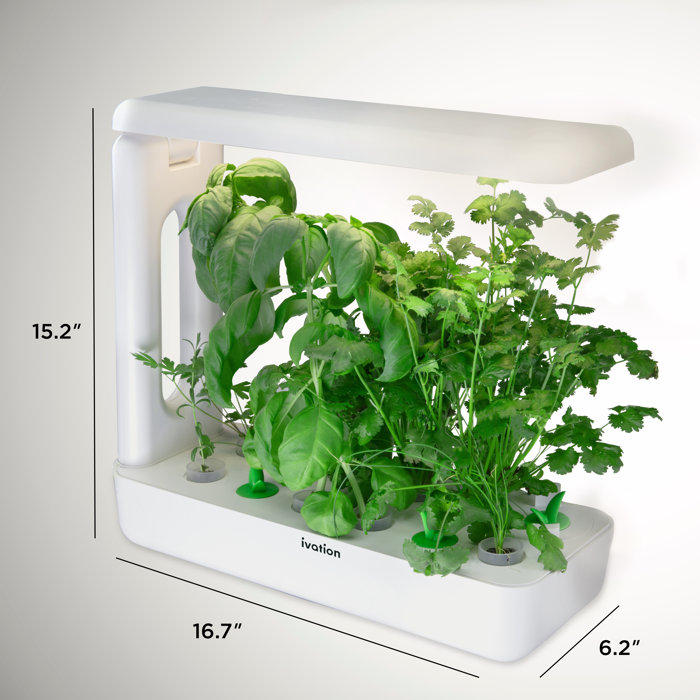Ivation Herb Indoor Garden Growing Kit & Reviews Wayfair